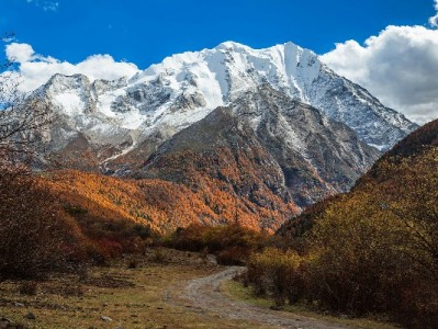 花呗分期成商家促单利器 低门槛支付激活消费新潜力