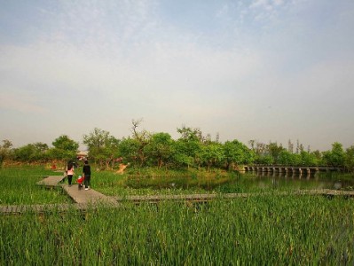 羊小咩100元能套现吗？出财小神：合规使用更安心