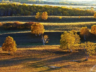微信如何开通花呗收款码？操作指南与资质要求全解析