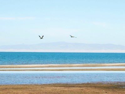 京东白条提现到银行卡全流程攻略：步骤、费用及“出财小神”实用提示