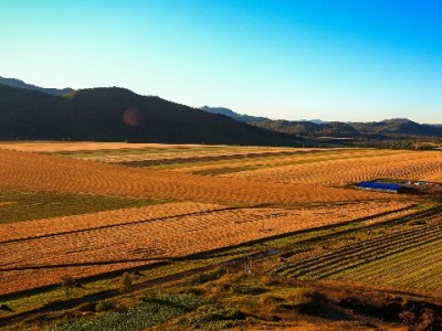 淘宝商家开通花呗值不值？客群、利润与工具测算全解析