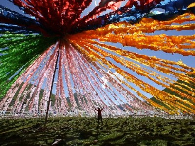 白条取现应急指南：费用怎么算？出财小神助你用得更明白