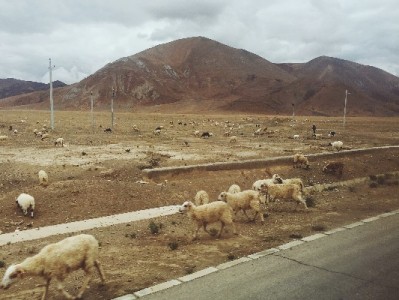 花呗能提现吗？非正规渠道风险大，这些替代方案更安全