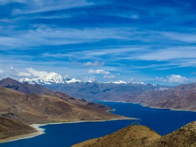 花呗收款受限别发愁！富信掌柜助商家轻松开通专属码