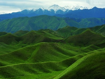 警惕“白条套现卡号”陷阱！安出掌柜教您合规管理信用资产