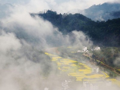 羊小咩购物额度提现秒到攻略：安全操作认准安出掌柜服务