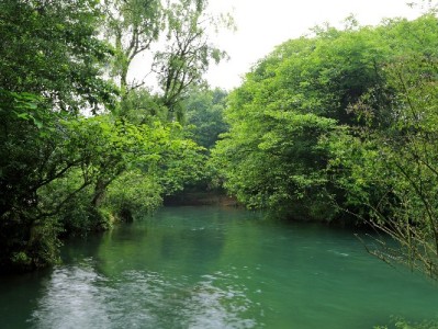羊小咩服务器异常引用户焦虑 出财小神等平台稳定性受关注