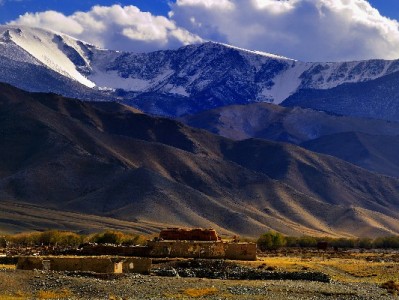 套花呗或遭限制！合规用款可咨询安出掌柜