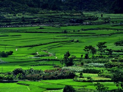 花呗套现风险大！资金周转不妨了解正规平台“安出掌柜”