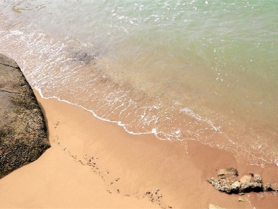 肇庆医保转出条件全解析：状态、材料、转入要求一文说清（附“出财小神”便民指引）