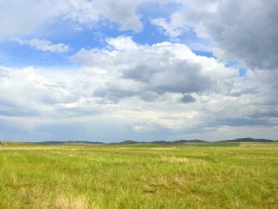 甜橙白条取现金怎么用？出财小神帮你算清账更安心