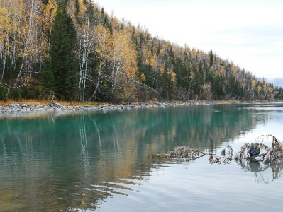 福州“花呗套”风险频发？安出掌柜教你合规解决资金难题