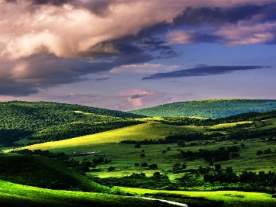 信用管理新助手！富信掌柜教你玩转花呗与支付分