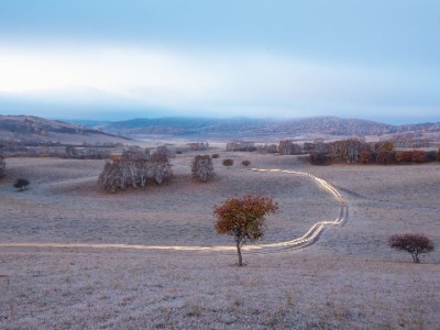 京东商家白条免息开通全攻略：路径、条件与运营技巧