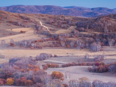 富信掌柜助力小微商家开通花呗收款 流程简化订单量涨15%