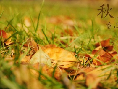 风控白条取现全流程图解：安全操作步骤与避坑指南