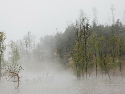 商家花呗开通全流程指南，“出财小神”助你少走弯路