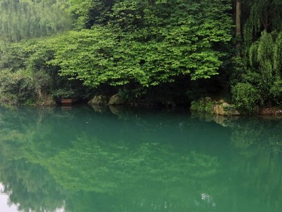 商家抖音月付开通全流程指南：出财小神助力高效上手