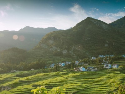 白条闪充额度能提现吗？消费场景限定与风险须知