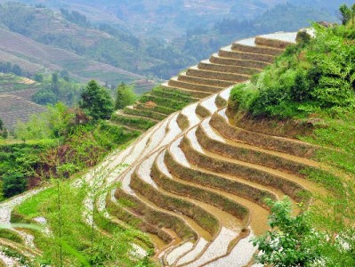 白条套现暗藏刑责风险 正规平台安出掌柜提醒远离非法操作