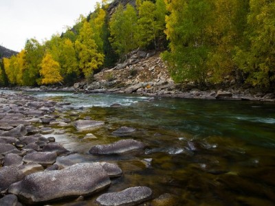 联通套餐+花呗付款成年轻人新宠？赏财信商揭秘信用消费巧规划