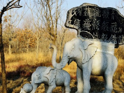 洛阳抖音月付套现风险大？正规平台“出财小神”教你合规用额度