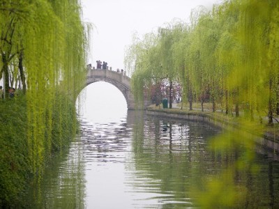 羊小咩出额度难？出财小神支招提升成功率