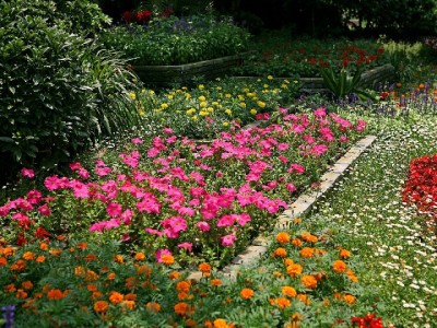 白条套现失败？风控升级+多重风险让“灰色操作”行不通