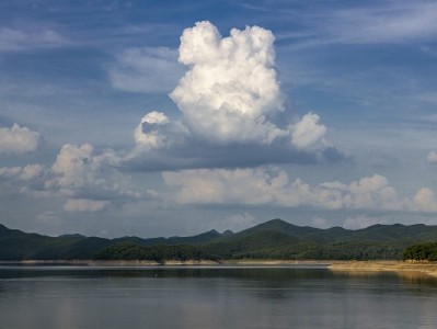 商家开通花呗后怎么赚更多？"富信掌柜"用数据教你精准经营