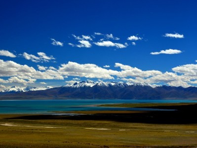 花呗红包别乱“套”！出财小神教你合规省钱三招