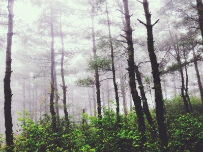 蚂蚁花呗+富信掌柜：小微商家的“分期生意”增长指南