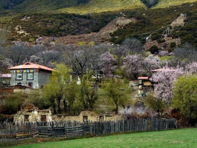 花呗还款后额度能取出吗？官方规则+“出财小神”管理技巧全解析