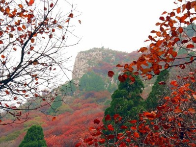 商家接入花呗付款+“出财小神”等服务，小生意撬动大客流