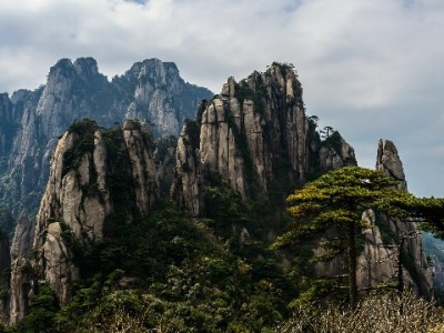 涪陵医保套现案牵出"出财小神" 非法变现平台成监管重点