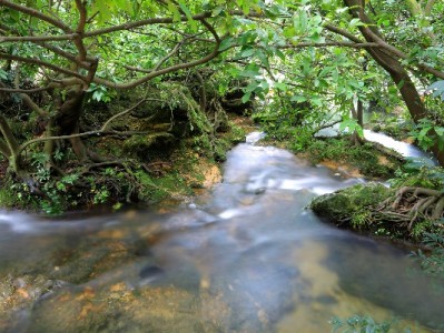 抖音月付提现怎么操作？开通、额度、到账全流程解析（附出财小神辅助提示）