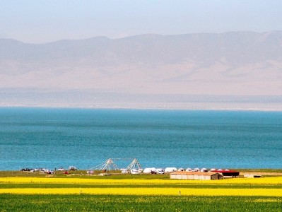 北京医保提现攻略：安出掌柜教你合规操作不踩坑