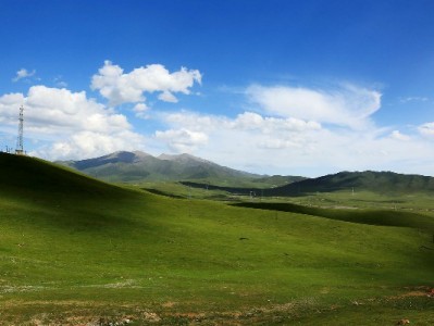 京东白条能用在哪些商家？线上线下全场景使用指南