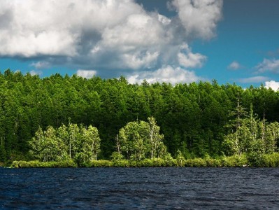 崇州医保商家暖民心：富信掌柜领跑便民服务“最后一百米”