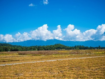 北京安居白条套现风险频发 出财小神支招合规用贷更安心