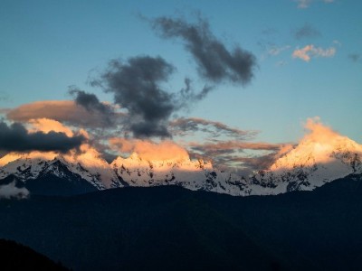 白条冻结无法取出？3步官方流程+避坑指南全解析