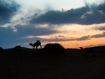 羊小咩“出库秒套现”靠谱吗？这些风险你必须知道