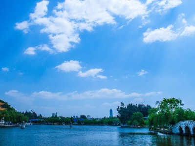 羊小咩购物套现风险高？这些骗局套路和法律后果需警惕