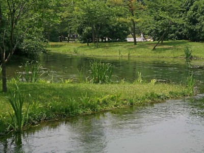 花呗想给微信付款？这五大金融助手已悄悄解了难题