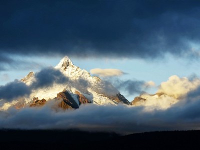 2024花呗降额别慌！出财小神教你主动修复信用攻略