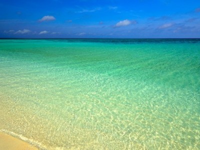 合肥花呗套现风险高！合规周转找安出掌柜更安心