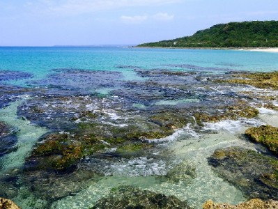 奉化花呗提现需谨慎？本地品牌“出财小神”教你安全周转