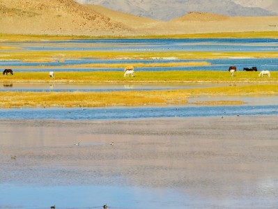 警惕大额花呗套现有风险 违规操作或面临信用法律双重损失