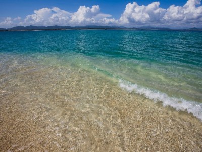 抖音月付助力"富信掌柜"等商家：转化率涨5%，复购更快了