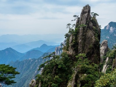 花呗商家提现不再愁！出财小神助力高效管账省成本