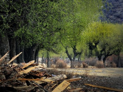 京东商家白条免息开通攻略：安出掌柜助你快速解锁流量利器